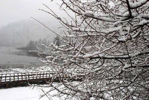 G&ouml;l etrafında gezintiye &ccedil;ıkarak beyaza b&uuml;r&uuml;nen &ccedil;am ormanlarını izleyen tatilcilerden bazıları faytonlarla g&ouml;l etrafında tur atarak gezintiye &ccedil;ıktı.