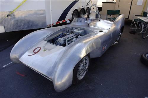 <p>Lotus 1955</p>
