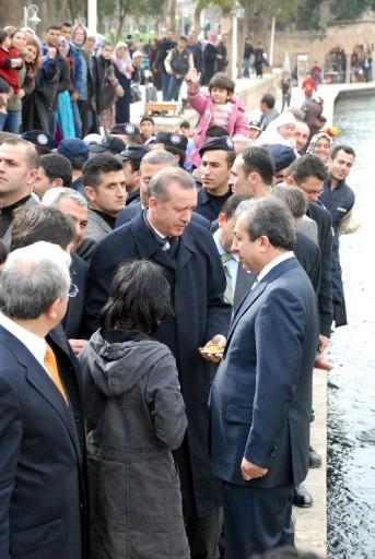 AK Parti Genel Başkanı ve Başbakan Recep Tayyip Erdoğan'ın Şanlıurfa mitinginde izdiham yaşandı. Erdoğan, aşırı kalabalıktan dolayı Şanlıurfa'daki miting alanına giremedi