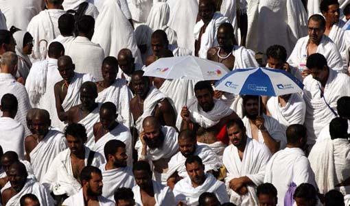 Arafat'ta insan seli