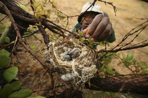 Zimbabve'de yaşam savaşı