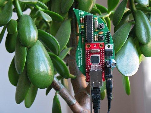 Kit'in içinde bir mikro kontrolör, bir ethernet modülü ve nem miktarını izlemesi için toprağa gömülen iki sonda yer alıyor.