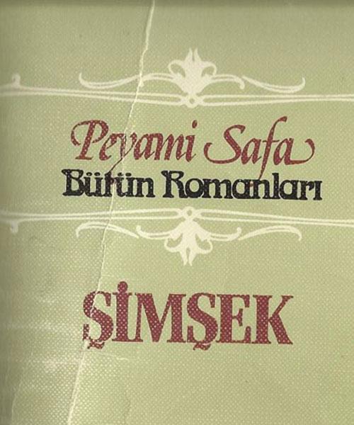 Peyami Safa'nın ''Şimşek''