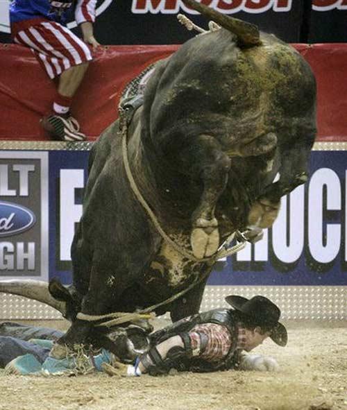 Rodeo esnasında yaşanan tehlikeli anlar...