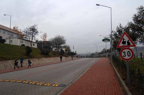 Karabük Üniversitesi Balıklar Kayası yerleşke alanında bulunan yolda 'Dikkat tavşan ve kaz çıkabilir' ibaresinin yazıldığı trafik levhası dikkat çekiyor.