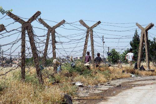Burası Türkiye Suriye sınırında nasıl temizleneceği tartışılmaya devam eden mayınlı bölge. Nusaybinli çocuklar bir kaç kuruş kazanmak için canları pahasına araziden kember otu topluyor