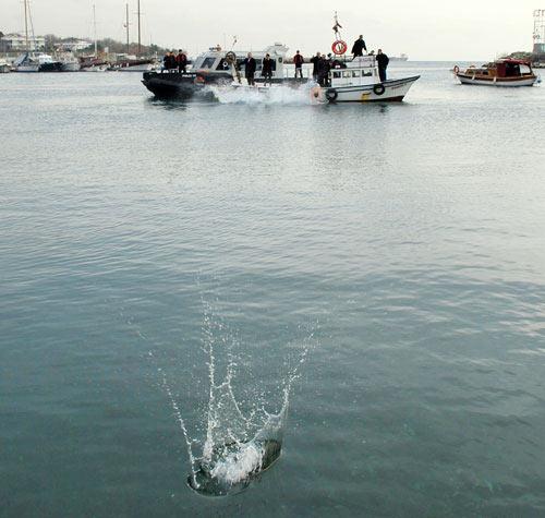 Hıristiyan inancına göre Hz. İsa'nın doğumu ve vaftiz edilişinin 2011. yıldönümü, Yeşilköy'de düzenlenen denizden haç çıkarma töreniyle kutlandı. Törenlere Patrik Bartholomeos'un ezana hürmet göstermesi damga vurdu.