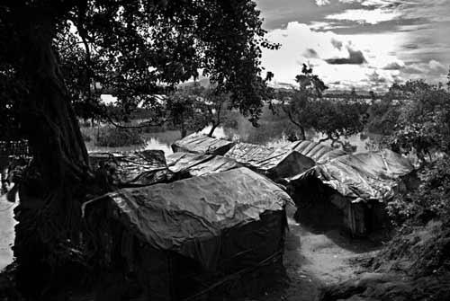Çin 4. Uluslararası Basın Fotoğrafları Yarışması'nda ödül alan fotoğraflar