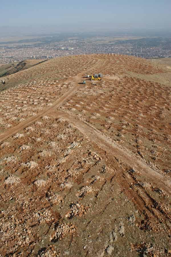 Bey Dağı ağaçlandırma projesi kapsamında bölgeye 5 milyona yakın fidan dikimi yapıldı. Bizzat ağaçlandırma yapılan alana giderek yapılan çalışmaları fotoğrafladık.