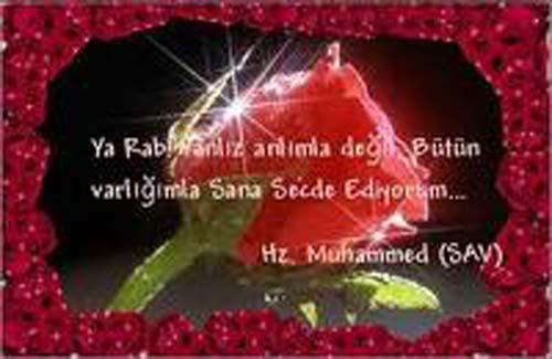 <p><span style="text-decoration: underline;"><strong>(Allah’ım, bize öyle bir şifa ver ki, geride hiç bir hastalık kalmasın!) [Ebu Davud</strong></span></p>