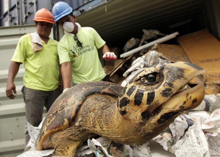 İçler acısı manzaralar Filipinlerin başkenti Manila'da yapılan gümrük kontrollerinde ortaya çıktı.