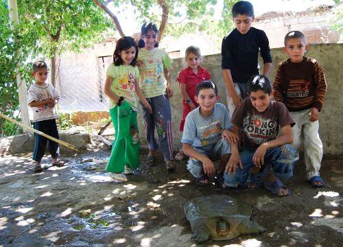 Batman'da köylüler, bir hayvan buldu. Parlak sarı gözleri ve pençeleri olan garip yaratık, köylüleri korkuttu. Ağaçları parçalayacak kadar saldırgan olan yaratığa, çocuklar, Ninja kaplumbağa adını taktı.