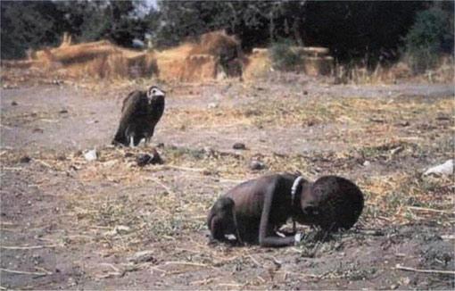 Kevin Carter'in Akbaba adını verdiği bu fotoğraf Sudan'da bir küçük kızın dramını görüntülüyordu. Fotoğrafçı ödül kazandı ama küçük kızın akibeti meçhul kaldı!