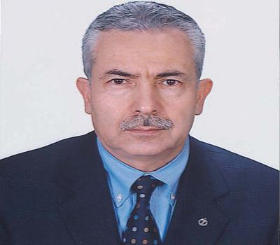 Üyeler proje üretip yönetime sunmalı<br><br>
<strong>İBRAHİM CEYLAN / MOTORLU KARA TAŞITLARI VE EKİPMANLARI MESLEK KOMİTESİ: </strong> İlk başladığımızda Odanın faaliyetlerini heyecanla üyelerimize anlatmak istedik. Zümre toplantıları yaptık. Bir silah dayamadığımız kaldı. 150 kişiyi zor getirdik. Tecrübeme dayanarak söylüyorum ki, siz de çok fazla üyelerinize anlatmaya çalışmayın. Eleştiri en kolay şey. Hep eleştiriliyorsunuz ama nedir diye hiç kimsenin merak ettiği veya öğrenme isteği yok. 
Komite bütçelerinin tekrar verilmesi talep edildi. Biz her şeyi doğru mu yapıyoruz? Bir tane yanlışımız olsun hiç olmazsa. Bu bütçelerin en kısa zamanda verilmesini talep ediyorum. Oda ne yapıyor konusuna sürekli muhatap oluyoruz. Odanın Yönetim Kurulu 11 kişi. Bizler de onlar da Meclis Üyesi. Bizler proje üretip getirmedikten sonra, yönetimde 11 kişi mi proje üretecek veya Odanın vizyonunu bir yerlere taşıyacaklar? Taşıyacak olanlar bizleriz. Bütün projelerimizi yönetim onaylayıp yürürlüğe mi koymadı? Hayır. Odanın faaliyet noktasındaki vizyonu hakkında bütün sorumluluk yönetim kadar bizlere de düşüyor. Biz komitelerde doğru, yanlış veya eksik kararlar alıyoruz. Komite olarak yönetimden bize sadece bilgi edinin notunu istemiyorum. Yönetimden şu talebiniz şu gerekçeyle uygun değil denilmesini rica ediyorum. Sektörümüzle ilgili olarak yönetimden bugüne kadar iki önemli konuda talepte bulunduk. Rekabet Kurumu ve Sanayi Bakanlığı ile ilgili iyi projelerimiz vardı. Yönetime anlattık, arkasını aradık. Dursun Beyin başkanlığında iki kez Ankarada bakanlıklarda temasta bulunduk. Eğer siz komitede karar alıp arkasını aramıyorsanız, sonuç çıkmıyor. Bu da sizler için bir ipucu olsun.