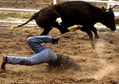 Rodeo esnasında yaşanan tehlikeli anlar...