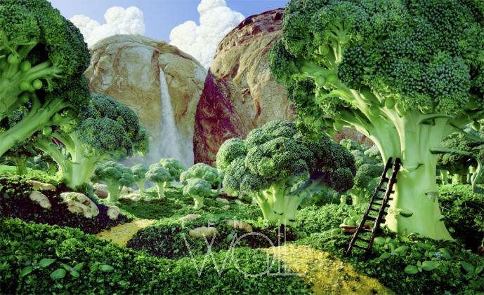 Fotoğrafçı Carl Warner, yemek üzerine kurulu bir hayatın yansımasını sanatına aksettiriyor.