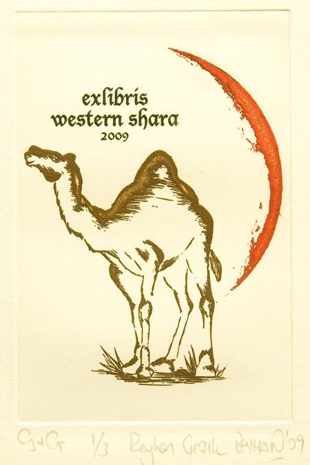 W. Sahara