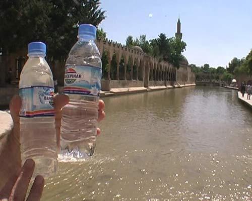 Şanlıurfada yerli ve yabancı turistlerin uğrak yeri olan tarihi Balılgöl, son günlerde suyunda görülen kirlilikten dolayı, bulanık renge dönüştü. Kutsal olduğuna inanılan balıklar çamura battı