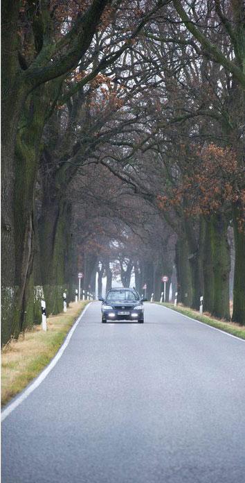 Almanya'nın Brandenburg eyaletinin Sieversdorf kentinde ağaçlık bir yolun 26 Aralık 2011 tarihinde çekilmiş fotoğrafı... Aynı yerin bir sene önce aynı tarihte çekilmiş fotoğrafını görmek için resmi tıklayınız...