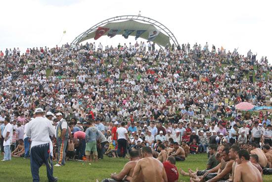 Kocaeli Büyükşehir Belediyesinin ilkini düzenlediği Sekapark Altın Kemer Yağlı Güreşlerinde 58i başpehlivan 567 pehlivan altın kemer için yarıştı.