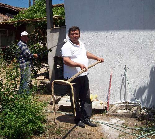 Çanakkale'nin Çan ilçesine bağlı Küçükpaşa köyünde işadamı Siyami Bayram'a (51) ait yazlık evin bahçesinde görülen 2 metre boyunda Bozyörük cinsi yılan köylülerin yardımı ile etkisiz hale getirildi.