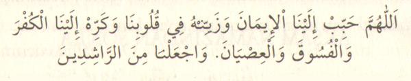 "Allahım, imanı bize sevdir ve onu kalplerimizde güzelleştir, gönüllerimizi onunla donat; küfre, fıska ve isyana karşı içimizde,