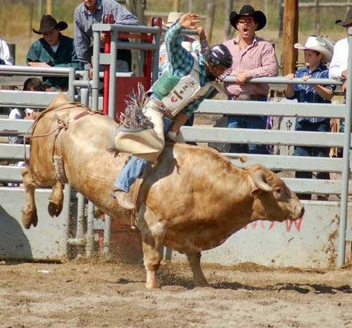 Rodeo esnasında yaşanan tehlikeli anlar...
