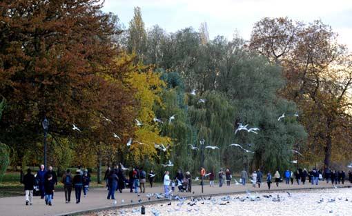 Hyde Park Londra'nın merkezinde halka açık, her sabah 05.00'ten gece yarısına kadar gezilebilecek dünyanın en büyük parklarından. Sadece gezmek, dinlenmek ve koşmak isteyenlerin hoş vakit geçirdiği bir yer değil ünlü kraliyet parkı aynı zamanda konserler başta olmak üzere pek çoketkinliğe de evsahipliği yapıyor. 
<br><br>
Parkın kuzey doğusunda  bulunan (Konuşmacılar köşesi) Speakers Corner düşüncelerini özgürce söylemek ve tartışmaya açmak isteyenlerin buluşma yeri.
<br><br>
Parkın yanıbaşında Kensington Bahçeleri var.  Serpentine gölü parkın en güzel köşelerinden...
<br><br>
Dünyada ünlü Londra'nın simge isimlerinden Hyde Park'ta sonbahar bugünlerde tüm ihtişamıyla kendisini hissettiriyor. Ağaçların sararan yapraklarının döküldüğü parka gelen yerli ve yabancılar, sarı ve kahverengi tonların hakim olduğu sanat tablosunun içinde spor yapma ve eğlenmenin tadını çıkartıyorlar.
<br><br>
İnsanlara iyice alışmış park sakinlerinden sevimli sincaplar ise her zaman olduğu gibi yine insanların elinden yiyecek alabilmeye çabalıyor hatta alabilmek için üstlerdine dahi tırmanıyorlar.
<br><br>
Güvercinler ise her zamanki gibi nasılsa yemsiz kalmayız diyen vakar ve tokgözlülük içersinde... 
<br><br>
İşte AA muhabirinin objektifinden yansıyan Hyde Park'tan sonbahar manzaraları...
<br>
(haber 7)