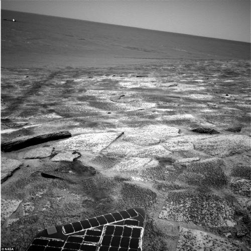 Mars'ta tahta bulundu asparagası!