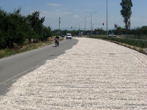 Bursa'nın İnegöl ilçesinde çiftçilerin çekirdek kurutmak için trafiğe kapattığı yol, belediye ekiplerinin müdahalesiyle açıldı.