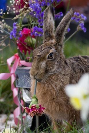 İngiltere'de her yıl düzenlenen British Wildlife Fotoğraf Ödülleri sahiplerini buldu. Bu yılın birincisi,Sula Sgeir denilen küçük ve ıssız bir İskoç adasında çektiği denizanası fotoğrafıyla Richard Shucksmith oldu. İşte yarışmada dereceye giren vahşi yaşamın içinden etkileyici kareler