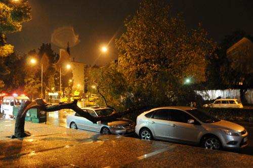 İzmir'in Bornova ilçesinde, şiddetli rüzgar nedeniyle bir ağaç park halindeki otomobilin üzerine devrildi. <br><br>İhbar üzerine olay yerine gelen Bornova trafik ekipleri ikinci bir kazanın yaşanmaması için yola duba koyarak önlem aldı. Olay, saat 04.30 sıralarında Bornova Mustafa Kemal Caddesi Ege Çarşı mağazaları önünde meydana geldi.