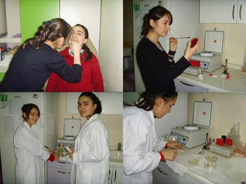 Çam Sakızı