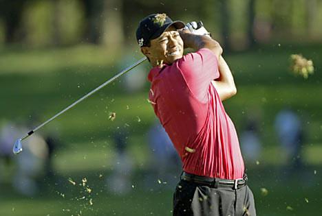 Tiger Woods Golf  111,9 milyon dolar