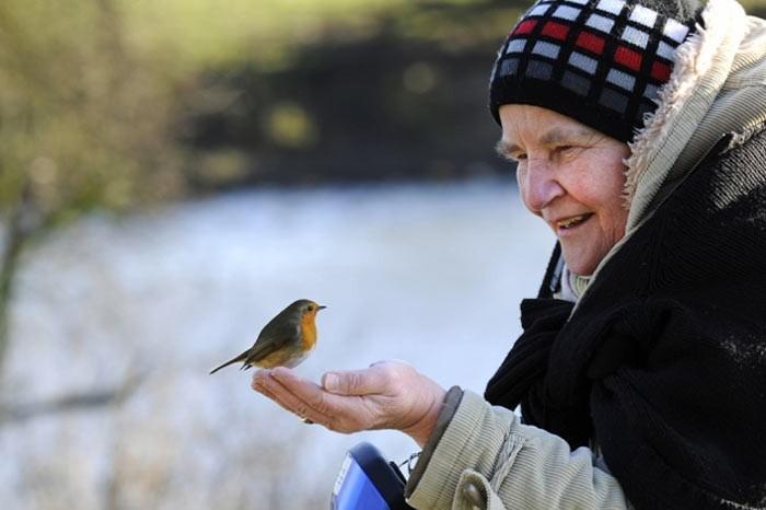 İngiltere'de her yıl düzenlenen British Wildlife Fotoğraf Ödülleri sahiplerini buldu. Bu yılın birincisi,Sula Sgeir denilen küçük ve ıssız bir İskoç adasında çektiği denizanası fotoğrafıyla Richard Shucksmith oldu. İşte yarışmada dereceye giren vahşi yaşamın içinden etkileyici kareler