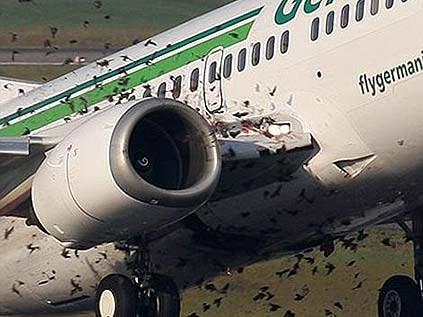 80 yolcusu ile hareket eden Boing 737 tipi uçak birden onlarca sığırcık kuşunun saldırısına uğradı. Uçak 45 dakika sonra yeniden havalandığı piste indi.