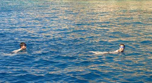 12. Uluslararası Likya-Kaş Kültür ve Sanat Festivali kapsamında Yunanistan'dan Türkiye'ye barış kulaçları atıldı. Yüzücüler ve kanoculardan oluşan sporcular, yarışma kapsamında 7 kilometre 100 metrelik Meis-Kaş etabını kat etti