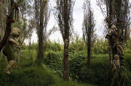 Su canavarlarının nesli tehlikede