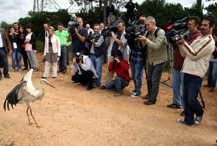 Mehmet Emin Birpınar, yaban hayatındaki geyik ve ceylanlara saldırdıkları gerekçesiyle sokak köpeklerinin ormanlara bırakılmaması uyarısında da bulundu. ''Biz, İstanbul'da bulunan yaban hayatının hepsine sahip çıkıyoruz'' diyen Birpınar, vatandaşların da yaban hayatına sahip çıkmalarını istedi.