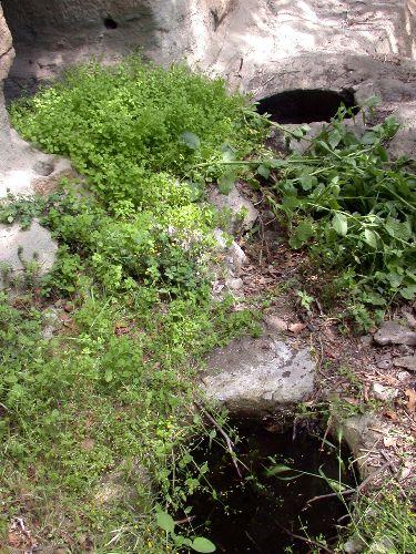 Trabzon'un Vakfıkebir İlçesi Çamlık Köyü Hacı Mahmutlu mevkiindeki iki katlı Pedromida Kilisesi, bakımsızlık sonucu defineciler tarafından tahrip edildi