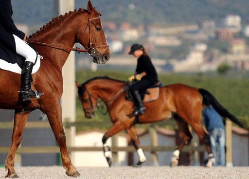 Seferihisar Bademler Köyü Boyzer mevkisinde kurulan Konvoy Country Club'da konaklayan atlar, egzersiz sonrası solaryuma giriyor, özel malzemelerden yapılmış ahırlarda kalıyor.
