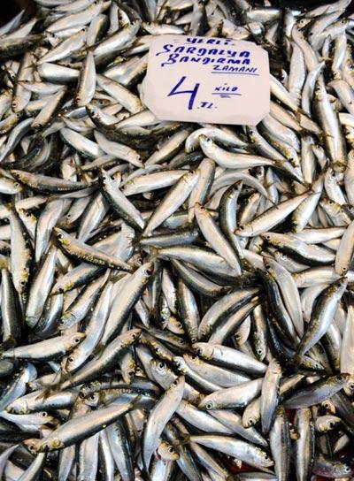 Balık tüketimi İtalya'da yılda 25, Fransa'da 32, İspanya'da 44 kilo olurken, bu rakam Japonya'da 72 kiloyu buluyor...