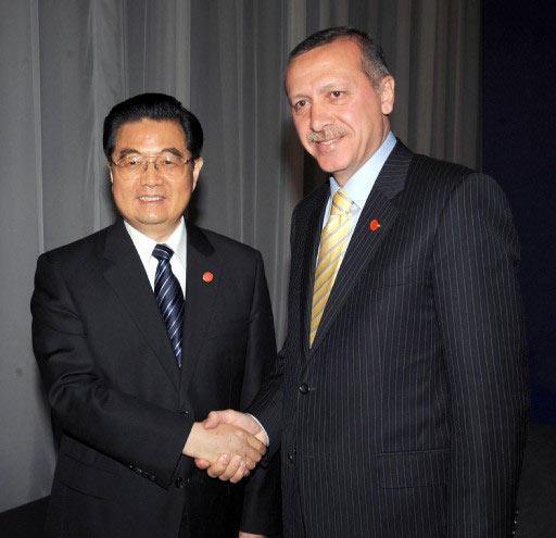 BASBAKAN ERDOGAN CIN DEVLET BASKANI HU JINTAO ILE G20 ZIRVESI CERCEVESINDE GORUSTU.