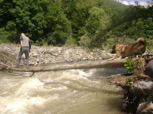 Artvin'den manzaralar