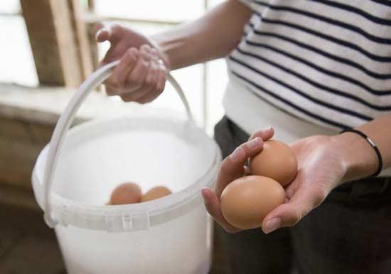 <p>1- Yumurtanın tümüne yakını protein, bu nedenle önemli ölçüde tokluk hissi veriyor. İki ince dilim, esmek ekmek, az miktarda yağsız peynir ve bir adet haşlanmış yumurta ile yapacağınız kahvaltı gün boyu daha tok hissetmenizi sağlıyor.