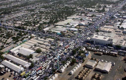 Arafat'ta insan seli