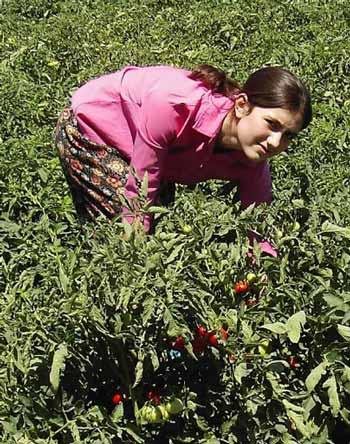 Pınar Aydın OKS'de birinci olan 97 öğrenciden biri