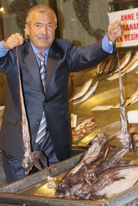 Uzun ve ince kuyruğu, iki tarafındaki kanatları yüzünden ilginç bir görüntüye sahip olan balıklar İstanbulun ünlü balıkçısı Balıkçı Kenanın kurduğu Türkiye Deniz Canlıları Müzesinde sergilenmek üzere Beylikdüzüne getirildi.