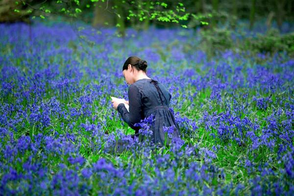 6 - Parlak Yıldız (Jane Campion, 2009)