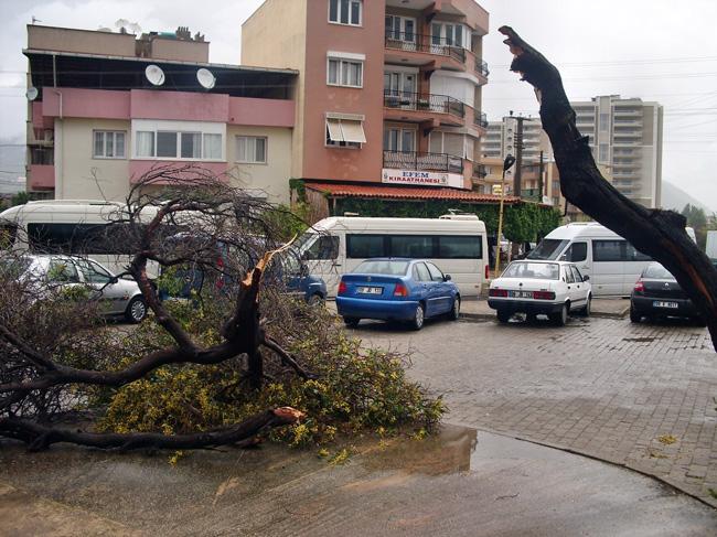 Aydın - Söke